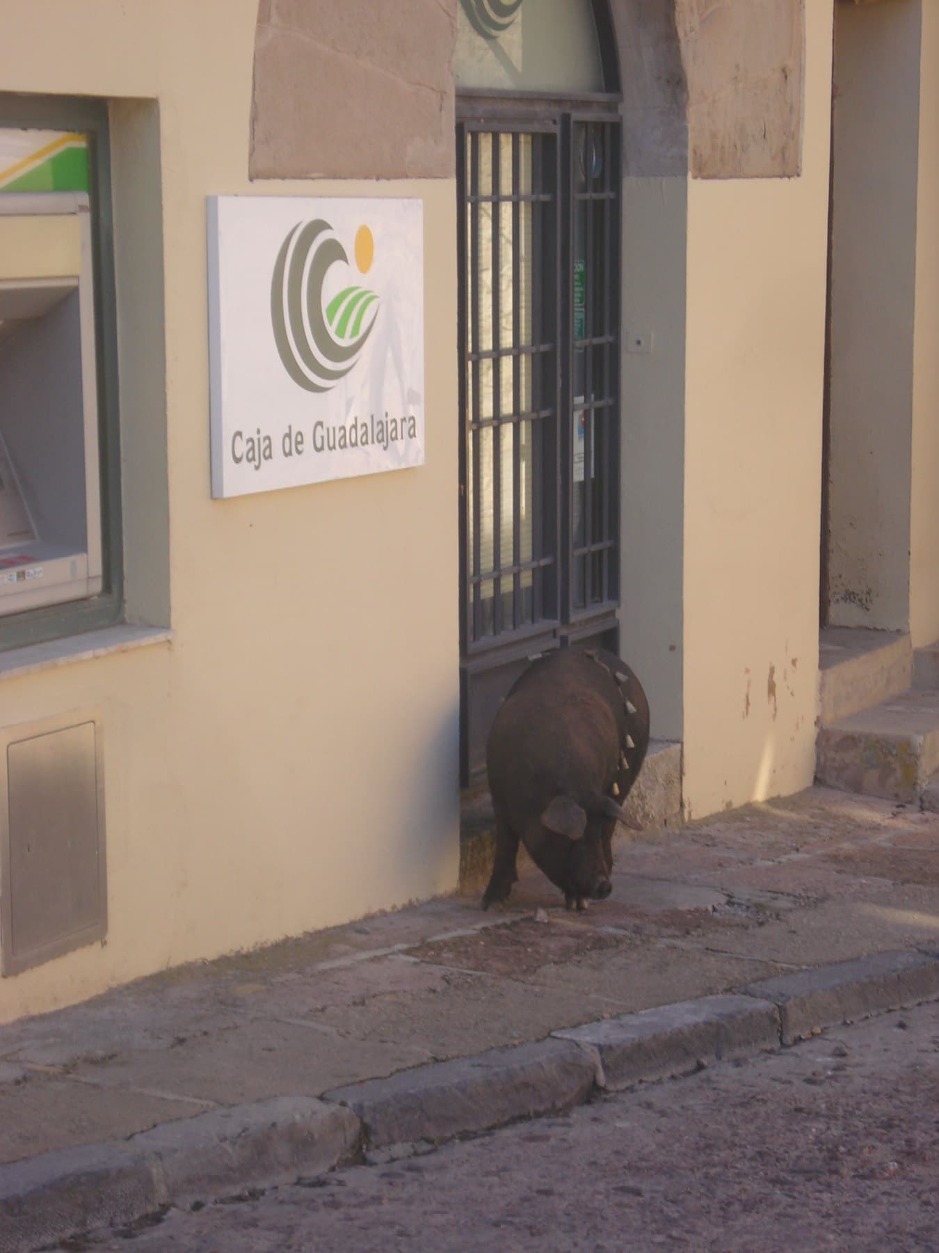 Fiesta del Cochino de San Antón en Atienza