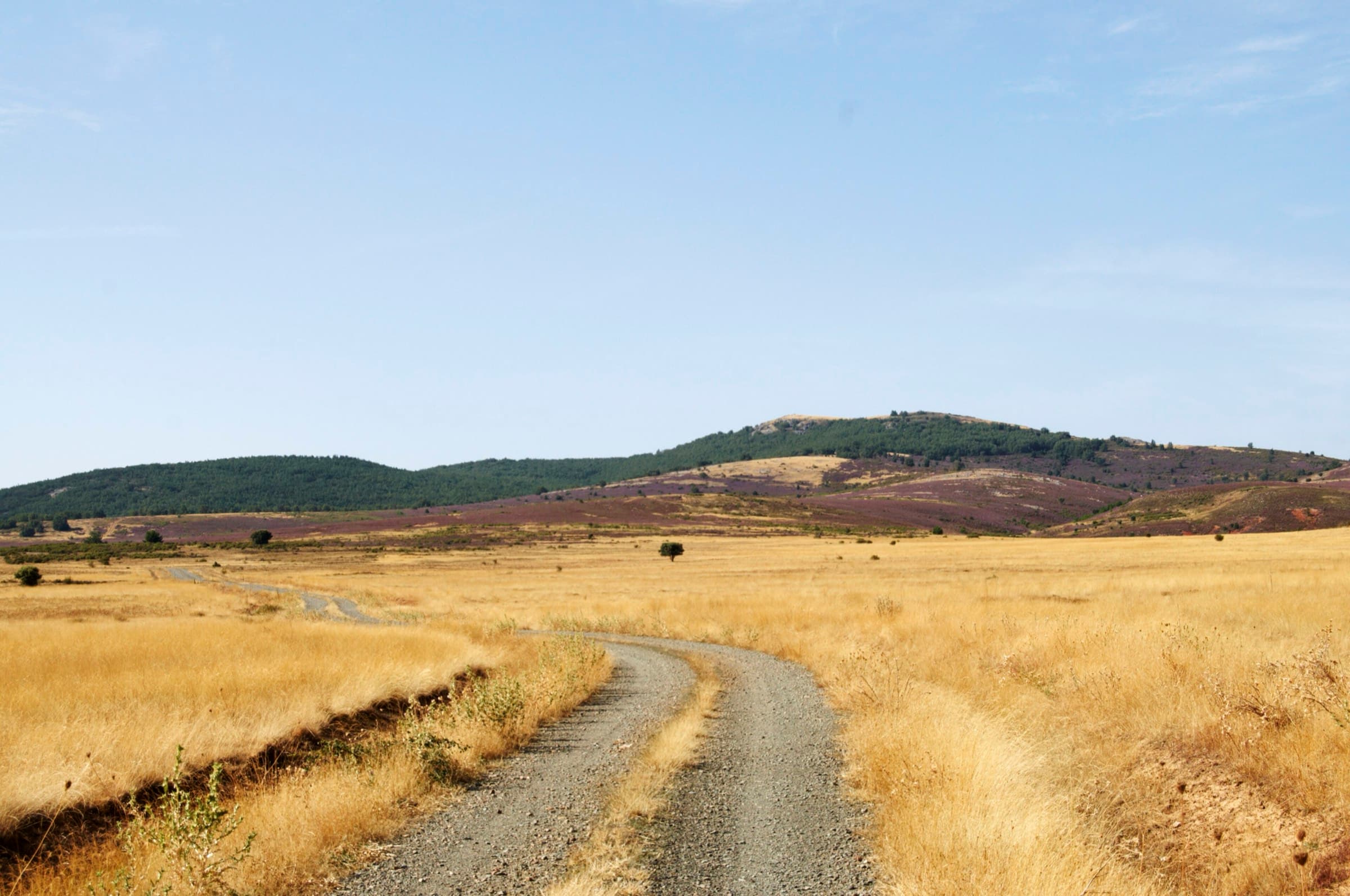 Camino de peregrinación a su paso por Atienza