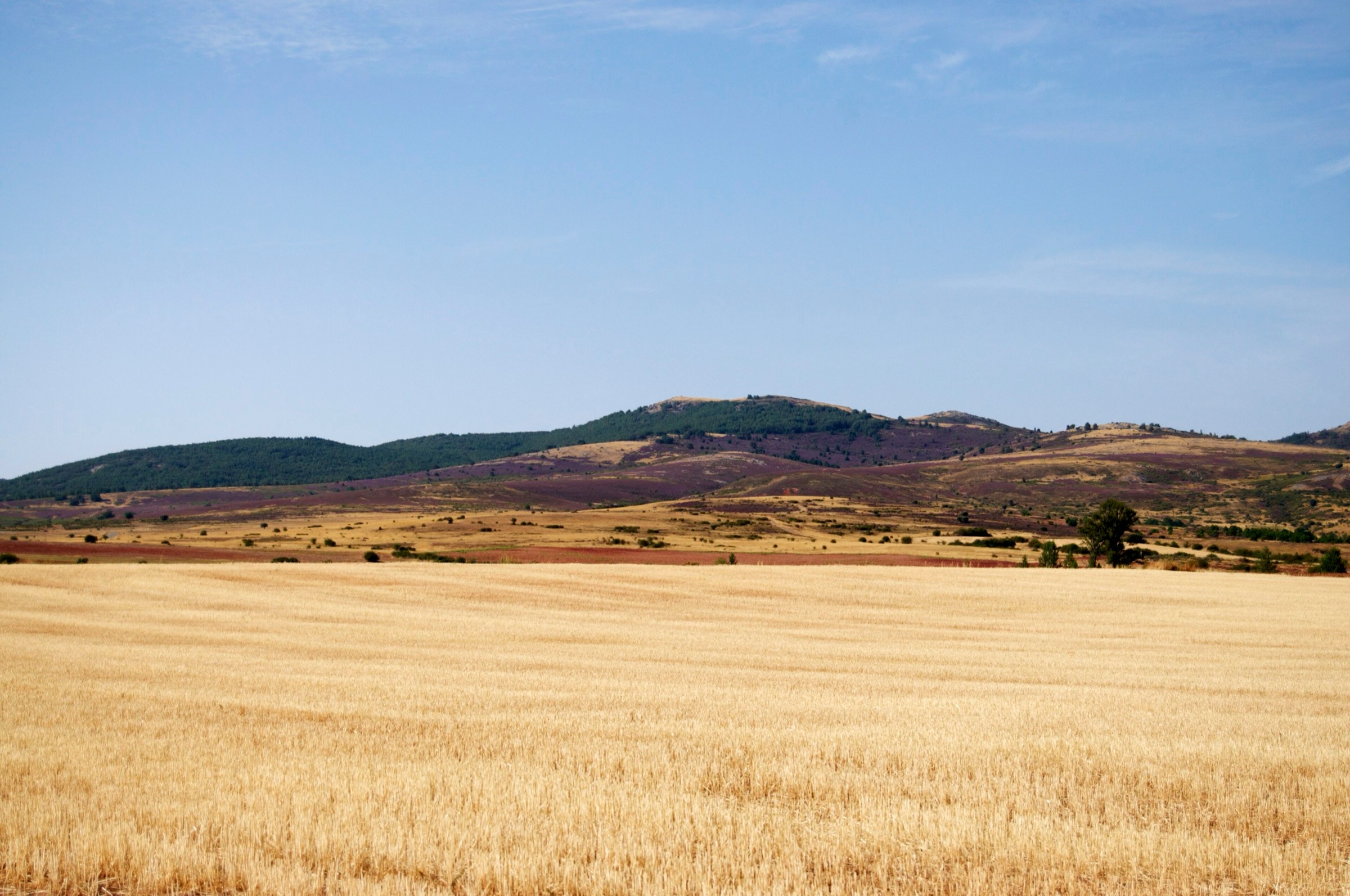 La Peña Bodera, paisaje cultural candidato a Patrimonio Mundial de la UNESCO